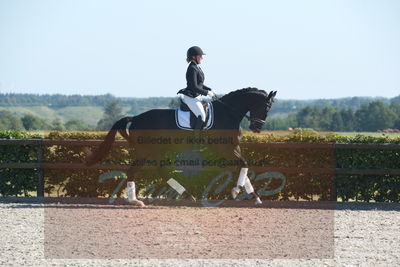 Blue Hors Dressuchampionat 2019 4års
Billeder fra stævnet
