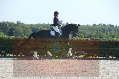 Blue Hors Dressuchampionat 2019 4års
Billeder fra stævnet
