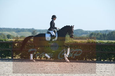 Blue Hors Dressuchampionat 2019 4års
Billeder fra stævnet
Nøgleord: domino;tanja rusovic