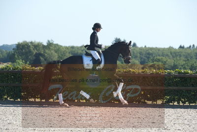 Blue Hors Dressuchampionat 2019 4års
Billeder fra stævnet
Nøgleord: domino;tanja rusovic