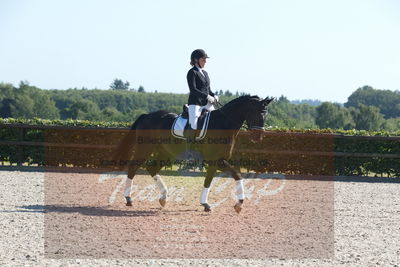 Blue Hors Dressuchampionat 2019 4års
Billeder fra stævnet
