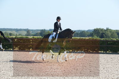 Blue Hors Dressuchampionat 2019 4års
Billeder fra stævnet
Nøgleord: domino;tanja rusovic