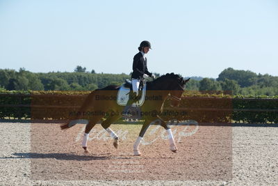 Blue Hors Dressuchampionat 2019 4års
Billeder fra stævnet
Nøgleord: domino;tanja rusovic