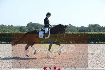 Blue Hors Dressuchampionat 2019 4års
Billeder fra stævnet
Nøgleord: domino;tanja rusovic