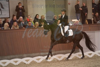 Dansk Rideforbunds Championats finaler 2019 dressur
Dansk Rideforbunds Championats finaler 2018
6 års
Nøgleord: seville nord;pia kjær pedersen