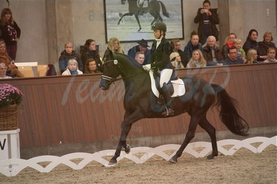 Dansk Rideforbunds Championats finaler 2019 dressur
Dansk Rideforbunds Championats finaler 2018
6 års
Nøgleord: seville nord;pia kjær pedersen