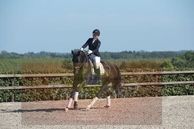 Blue Hors Dressuchampionat 2019 4års
Billeder fra stævnet
Nøgleord: day-light's soulmate;astrid grøn