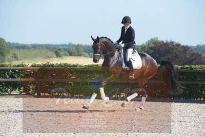 Blue Hors Dressuchampionat 2019 4års
Billeder fra stævnet
Nøgleord: domino;tanja rusovic