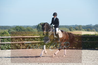 Blue Hors Dressuchampionat 2019 4års
Billeder fra stævnet
Nøgleord: domino;tanja rusovic