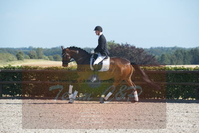 Blue Hors Dressuchampionat 2019 4års
Billeder fra stævnet
Nøgleord: monique;steen steensen blicher