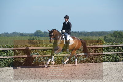 Blue Hors Dressuchampionat 2019 4års
Billeder fra stævnet
Nøgleord: monique;steen steensen blicher