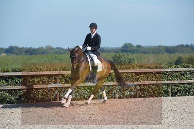 Blue Hors Dressuchampionat 2019 4års
Billeder fra stævnet
Nøgleord: monique;steen steensen blicher