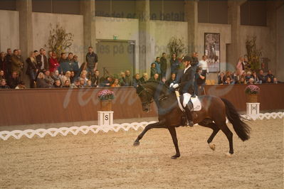 Dansk Rideforbunds Championats finaler 2019 dressur
Dansk Rideforbunds Championats finaler 2018
6 års
Nøgleord: andreas helgstrand;revolution