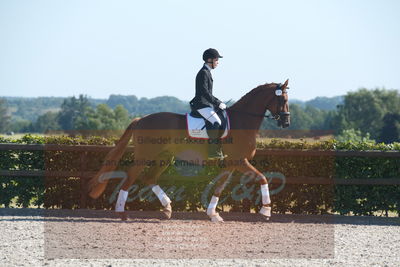 Blue Hors Dressuchampionat 2019 4års
Billeder fra stævnet
Nøgleord: lomus my first love;lo breidind