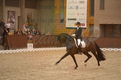 Dansk Rideforbunds Championats finaler 2019 dressur
Dansk Rideforbunds Championats finaler 2018
6 års
Nøgleord: andreas helgstrand;revolution