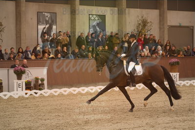 Dansk Rideforbunds Championats finaler 2019 dressur
Dansk Rideforbunds Championats finaler 2018
6 års
Nøgleord: andreas helgstrand;revolution