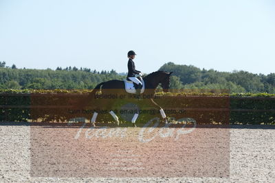 Blue Hors Dressuchampionat 2019 4års
Billeder fra stævnet
Nøgleord: springborgs achiva;kathrine springborg