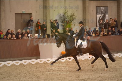 Dansk Rideforbunds Championats finaler 2019 dressur
Dansk Rideforbunds Championats finaler 2018
6 års
Nøgleord: andreas helgstrand;revolution