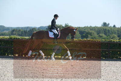 Blue Hors Dressuchampionat 2019 4års
Billeder fra stævnet
Nøgleord: lomus my first love;lo breidind