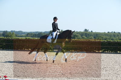 Blue Hors Dressuchampionat 2019 4års
Billeder fra stævnet
Nøgleord: springborgs achiva;kathrine springborg