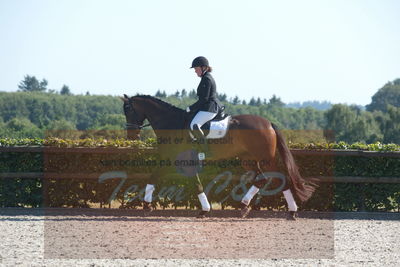 Blue Hors Dressuchampionat 2019 4års
Billeder fra stævnet
Nøgleord: day-light's amye;katja madsen