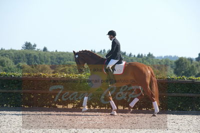 Blue Hors Dressuchampionat 2019 4års
Billeder fra stævnet
Nøgleord: lomus my first love;lo breidind