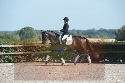 Blue Hors Dressuchampionat 2019 4års
Billeder fra stævnet
Nøgleord: day-light's amye;katja madsen