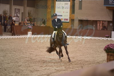 Dansk Rideforbunds Championats finaler 2019 dressur
Dansk Rideforbunds Championats finaler 2018
6 års
Nøgleord: andreas helgstrand;revolution