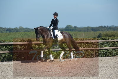 Blue Hors Dressuchampionat 2019 4års
Billeder fra stævnet
Nøgleord: springborgs achiva;kathrine springborg