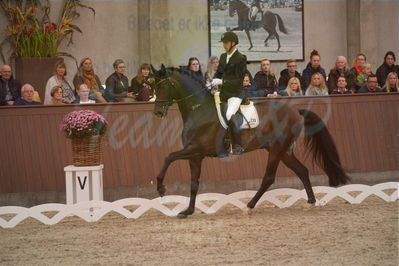 Dansk Rideforbunds Championats finaler 2019 dressur
Dansk Rideforbunds Championats finaler 2018
6 års
Nøgleord: andreas helgstrand;revolution