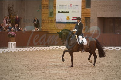 Dansk Rideforbunds Championats finaler 2019 dressur
Dansk Rideforbunds Championats finaler 2018
6 års
Nøgleord: andreas helgstrand;revolution