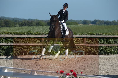 Blue Hors Dressuchampionat 2019 4års
Billeder fra stævnet
Nøgleord: springborgs achiva;kathrine springborg