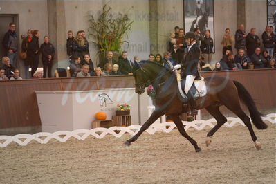 Dansk Rideforbunds Championats finaler 2019 dressur
Dansk Rideforbunds Championats finaler 2018
6 års
Nøgleord: andreas helgstrand;revolution