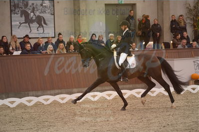 Dansk Rideforbunds Championats finaler 2019 dressur
Dansk Rideforbunds Championats finaler 2018
6 års
Nøgleord: andreas helgstrand;revolution