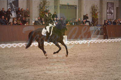 Dansk Rideforbunds Championats finaler 2019 dressur
Dansk Rideforbunds Championats finaler 2018
6 års
Nøgleord: l'donna sil;malene kohlschmidt ebbesen