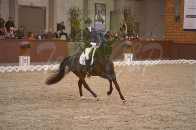 Dansk Rideforbunds Championats finaler 2019 dressur
Dansk Rideforbunds Championats finaler 2018
6 års
Nøgleord: l'donna sil;malene kohlschmidt ebbesen