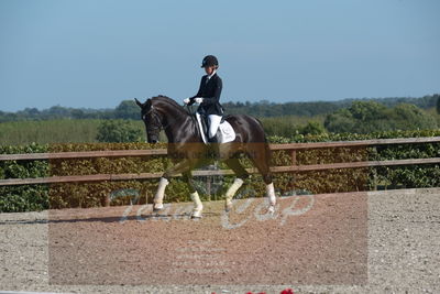 Blue Hors Dressuchampionat 2019 4års
Billeder fra stævnet
Nøgleord: sweetness;silje bakken