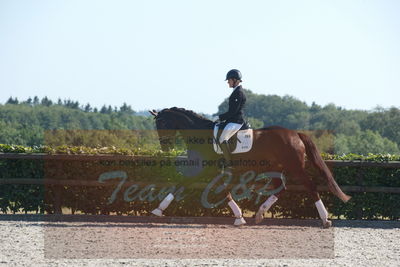 Blue Hors Dressuchampionat 2019 4års
Billeder fra stævnet
Nøgleord: evo darleen;lotte wiuff straarip