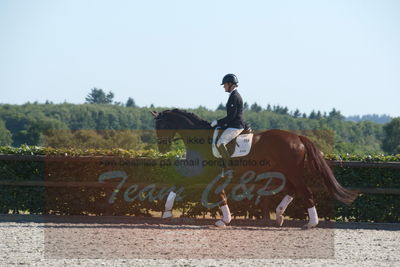 Blue Hors Dressuchampionat 2019 4års
Billeder fra stævnet
Nøgleord: evo darleen;lotte wiuff straarip