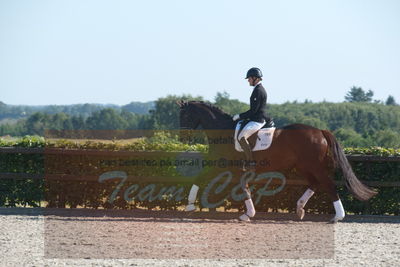 Blue Hors Dressuchampionat 2019 4års
Billeder fra stævnet
Nøgleord: evo darleen;lotte wiuff straarip