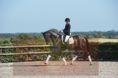 Blue Hors Dressuchampionat 2019 4års
Billeder fra stævnet
