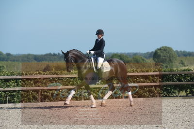 Blue Hors Dressuchampionat 2019 4års
Billeder fra stævnet
Nøgleord: sweetness;silje bakken