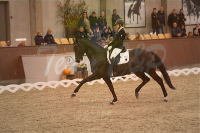 Dansk Rideforbunds Championats finaler 2019 dressur
Dansk Rideforbunds Championats finaler 2018
6 års
Nøgleord: bournonville;lotte wiuff straarip
