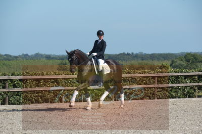Blue Hors Dressuchampionat 2019 4års
Billeder fra stævnet
Nøgleord: sweetness;silje bakken