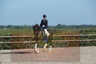 Blue Hors Dressuchampionat 2019 4års
Billeder fra stævnet
Nøgleord: sweetness;silje bakken