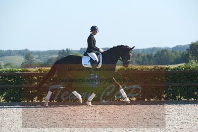 Blue Hors Dressuchampionat 2019 4års
Billeder fra stævnet
Nøgleord: evo darleen;lotte wiuff straarip