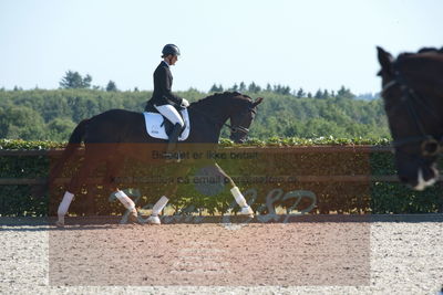 Blue Hors Dressuchampionat 2019 4års
Billeder fra stævnet
Nøgleord: evo darleen;lotte wiuff straarip