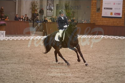 Dansk Rideforbunds Championats finaler 2019 dressur
Dansk Rideforbunds Championats finaler 2018
6 års
Nøgleord: bournonville;lotte wiuff straarip