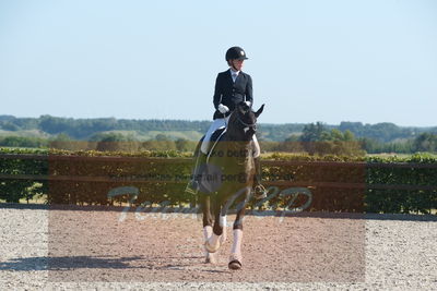 Blue Hors Dressuchampionat 2019 4års
Billeder fra stævnet
Nøgleord: sweetness;silje bakken