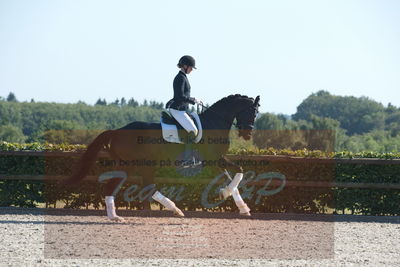Blue Hors Dressuchampionat 2019 4års
Billeder fra stævnet
Nøgleord: sweetness;silje bakken